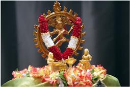 Golu+
