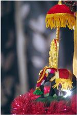 Golu+