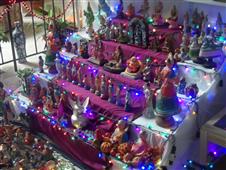 golu 2013