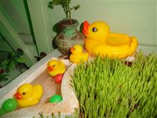 GOLU 