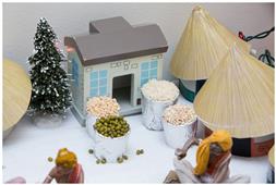 Golu Pictures