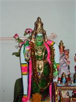 Kavitha Raja