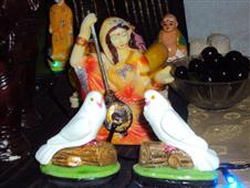 Kavitha Raja