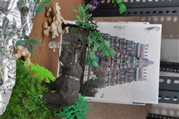 GOLU 2013