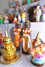 Golu 2013 in Clifton Park,NY