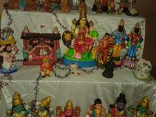 golu13