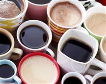 Which one would you vote for? in New York,NY