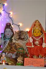Golu 2014 - Evolution in 9 steps