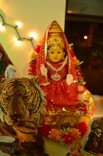 Golu 2014 - Evolution in 9 steps