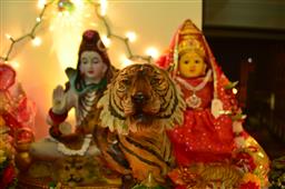Golu 2014 - Evolution in 9 steps