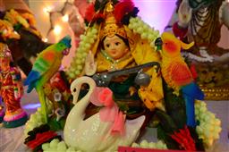 Golu 2014 - Evolution in 9 steps