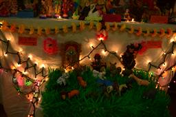 Golu 2014 - Evolution in 9 steps