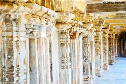 Losing Your Head in a Museum in ,