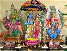 VP Golu 2014