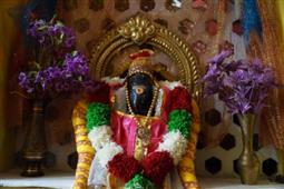 Golu 2014