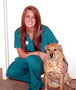 How Does A Kennel Assistant Differ From A Kennel Attendant?  in New York,NY
