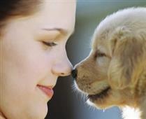 The A-Z Health Benefits Of Being A Pet Owner in New York,NY