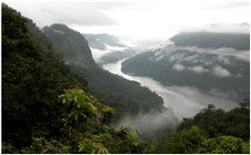 Agumbe - A tropical rain-forest in the heart of South India in New York,NY