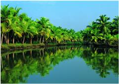 Things to do in God's own Country – Kerala in New York,NY