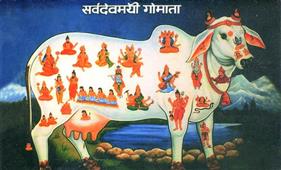 Best Place to Find Indian Astrology in USA in Wyoming,PA