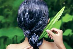 Castor care and beauty sleep pampers skin and hair in New Orleans,LA