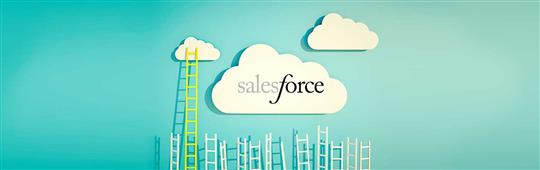 Five Mistakes a Salesforce Developer Should Avoid in New York,NY