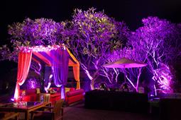 Ideas for A Fun Filled Pre-Wedding Function – Sangeet Ceremony in New York,NY