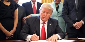 Will Donald Trump eliminate H-1B visa program? in New York,NY