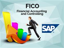 What does the companies in 2017 demands from SAP FICO professionals? in New York,NY