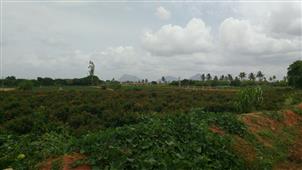 On the way to Nandi Hills - Explore Country Side in New York,NY
