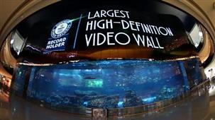 Dubai Mall features world’s largest OLED video wall in New York,NY