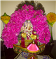 Our Navarathri 2013 Photos in San Ramon,ca