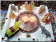 Yenga Aathu Golu Photos in New York,ny