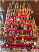 Venkatraman Family Golu Photos in New York,ny
