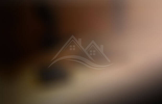 Desi Realty