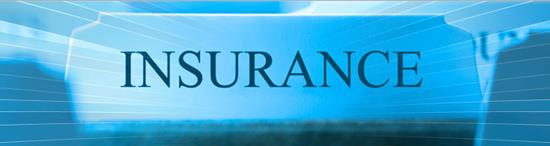 Amir Dodhiya, Agent - New York Life Insurance